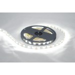 LED Strips-5050-5m- White